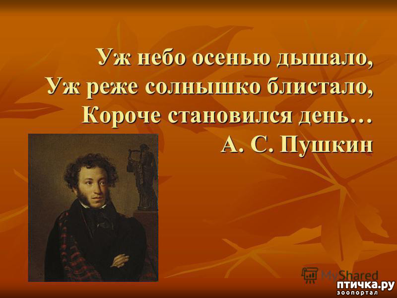 Пушкин стих уж небо осенью. Уж небо осенью дышало Пушкин. Пушкин осенью дышало.