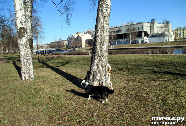  31:  