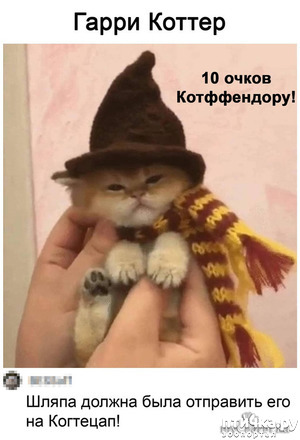 :     )))  !    )))