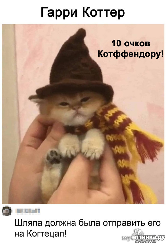  1:     )))  !    )))