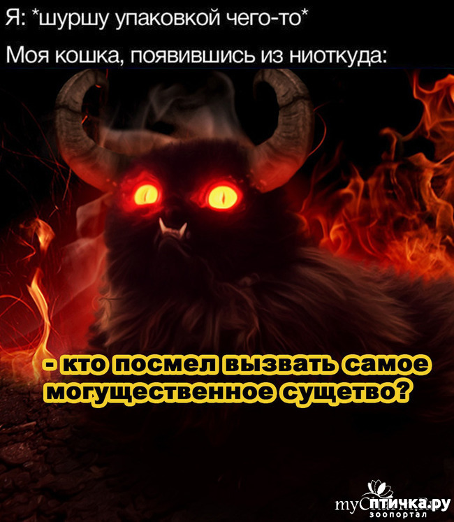  2:     )))  !    )))