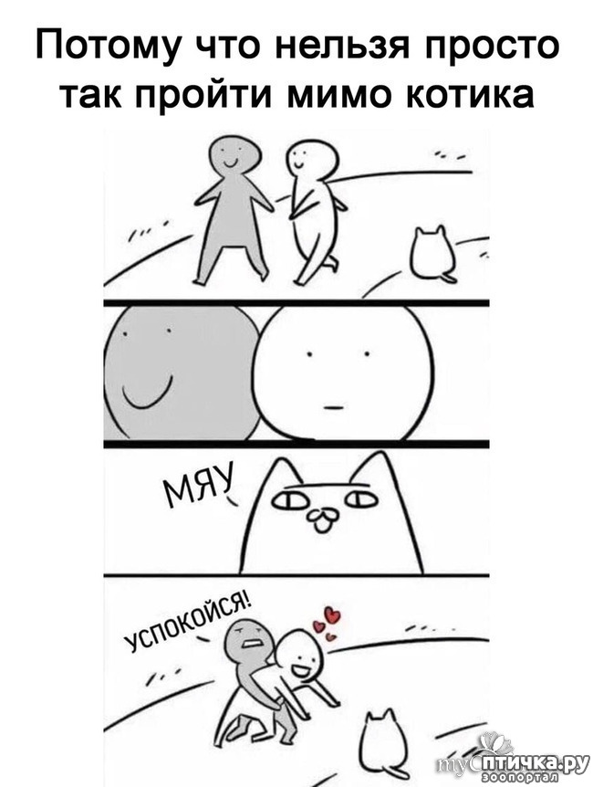  3:     )))  !    )))