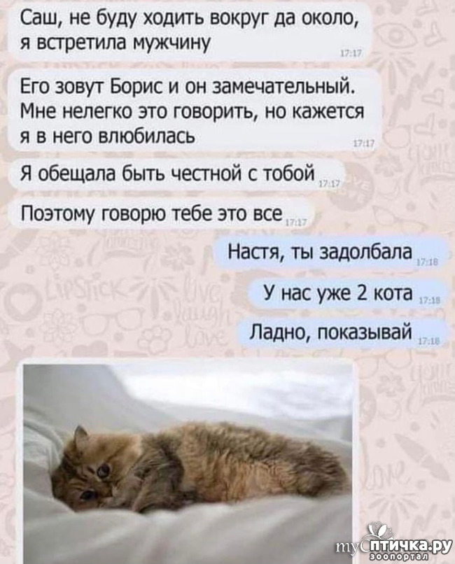  4:     )))  !    )))