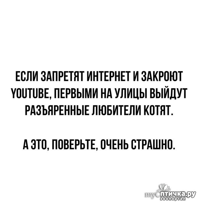  7:     )))  !    )))