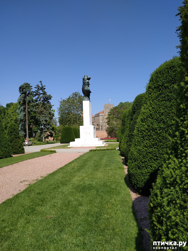  12:   