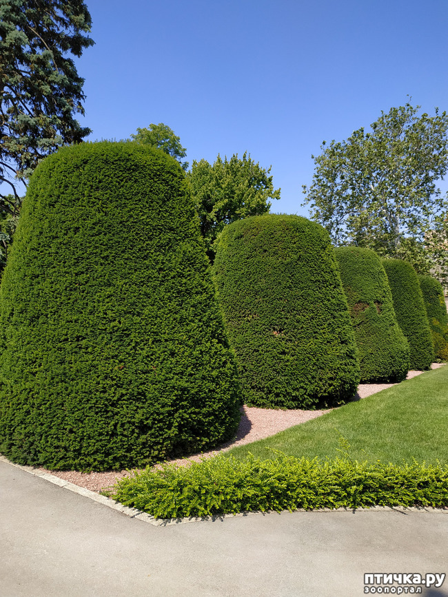  15:   