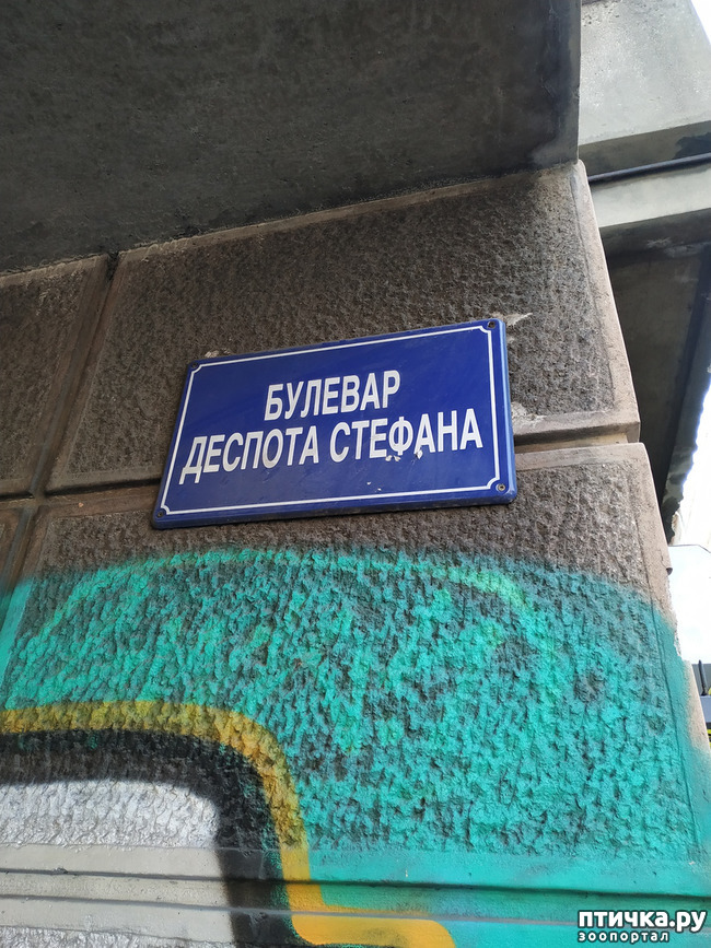 25:   