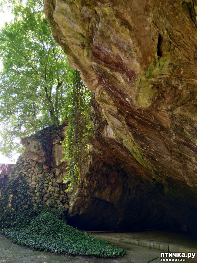 фото 4: Пещеры
