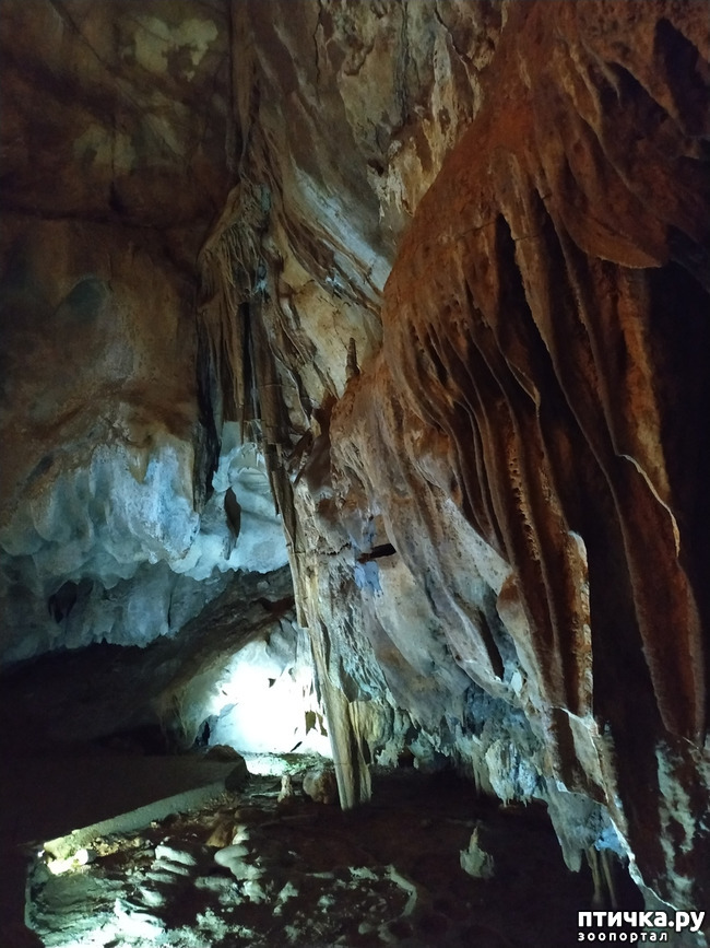фото 11: Пещеры