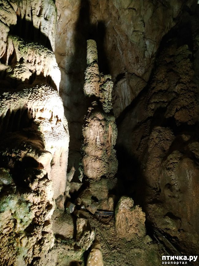 фото 8: Пещеры