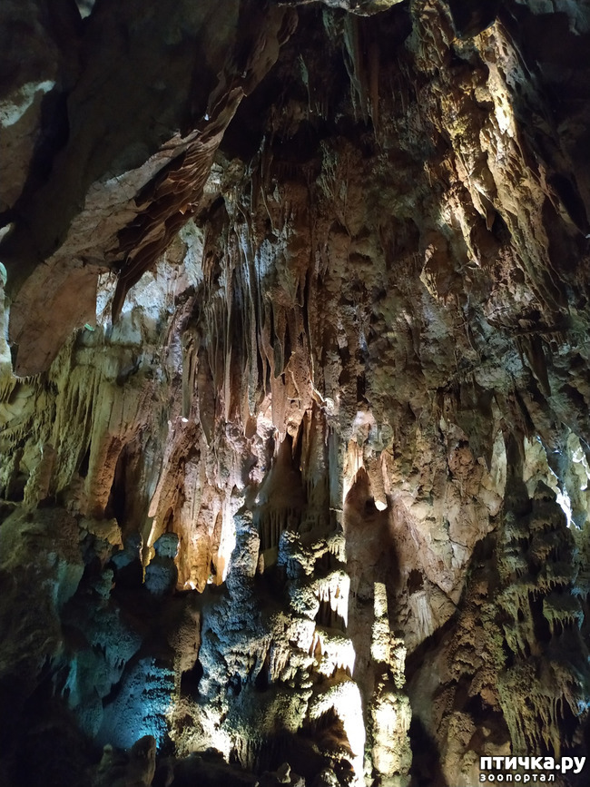 фото 6: Пещеры
