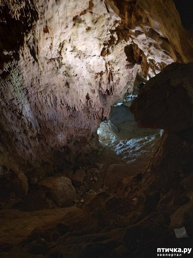 фото 13: Пещеры