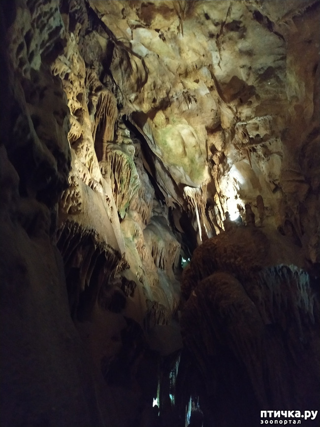 фото 15: Пещеры