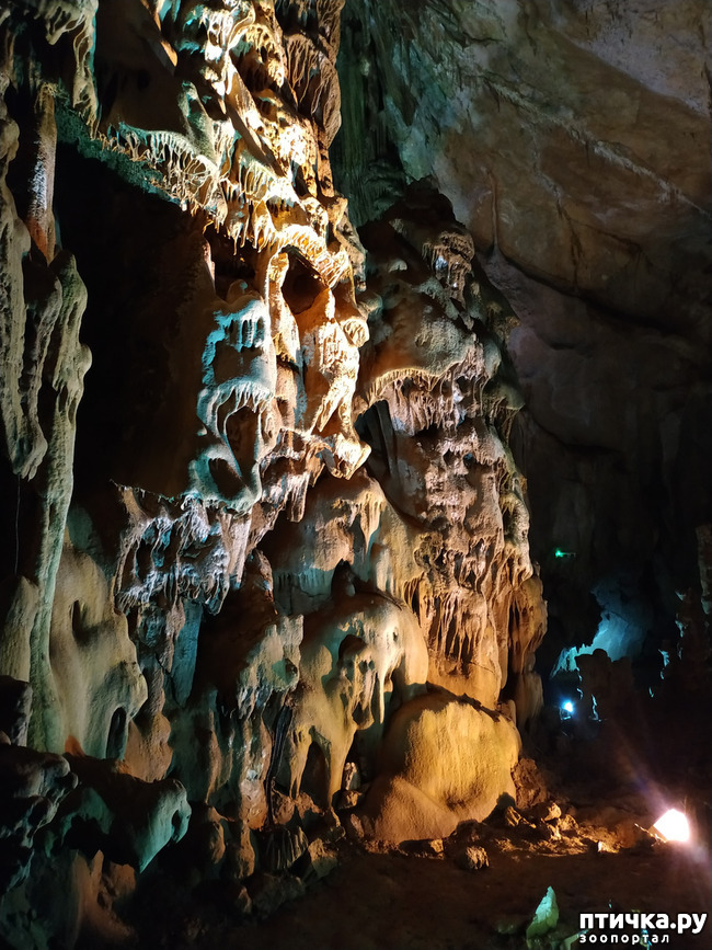 фото 14: Пещеры