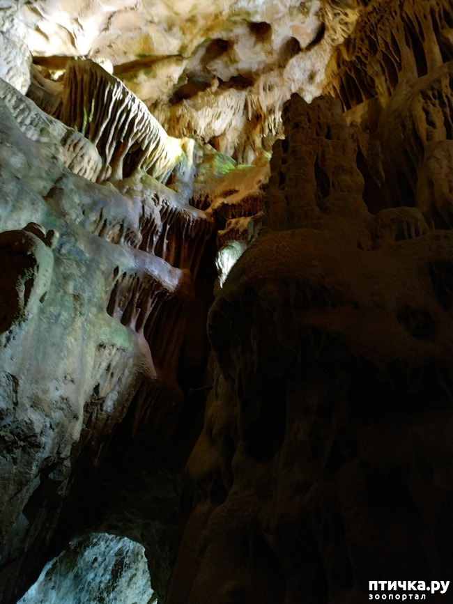 фото 17: Пещеры