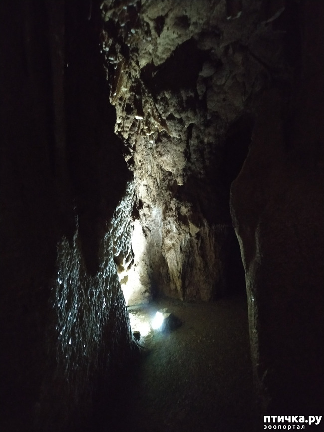 фото 18: Пещеры