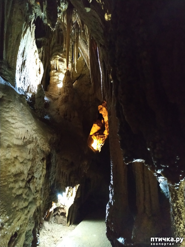 фото 20: Пещеры