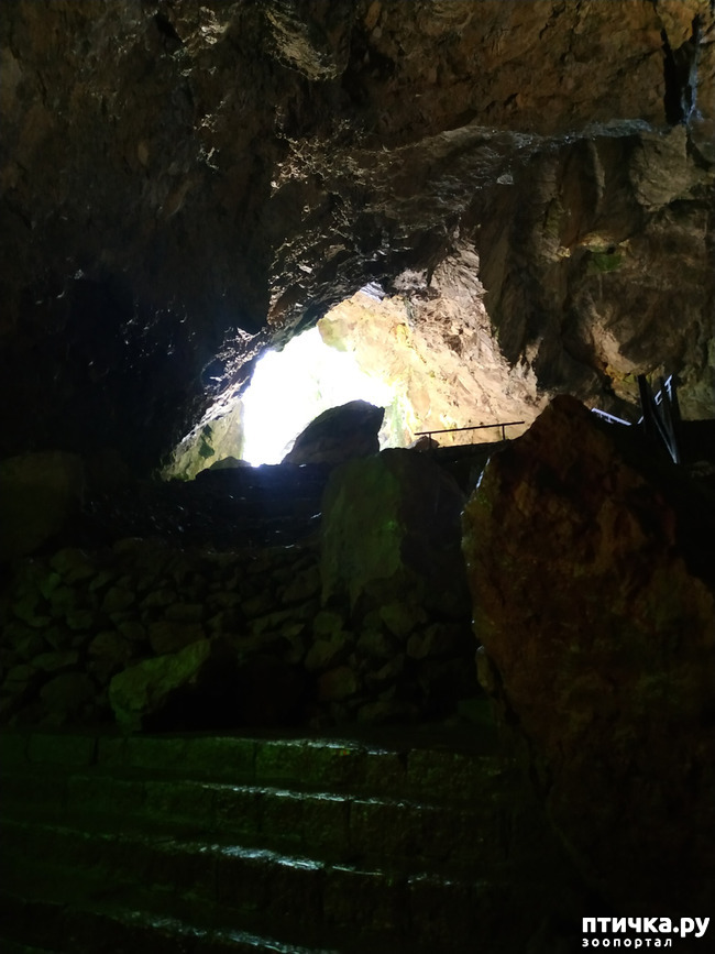 фото 24: Пещеры