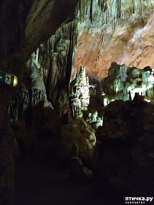 фото 28: Пещеры