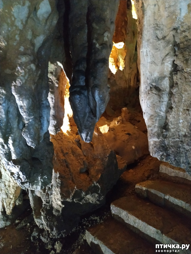 фото 30: Пещеры