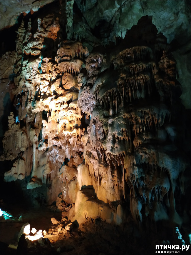 фото 31: Пещеры