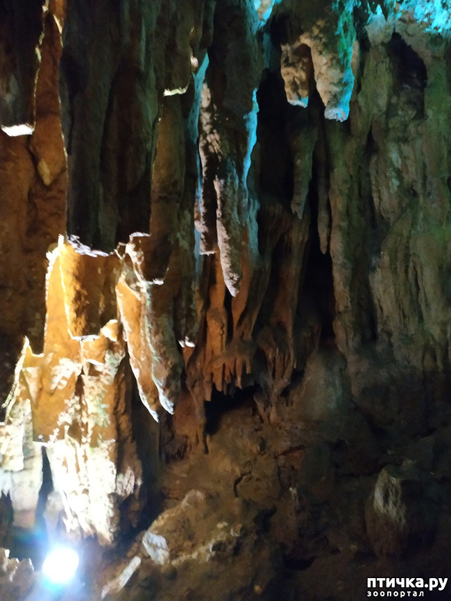 фото 35: Пещеры