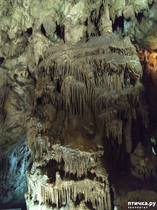 фото 38: Пещеры