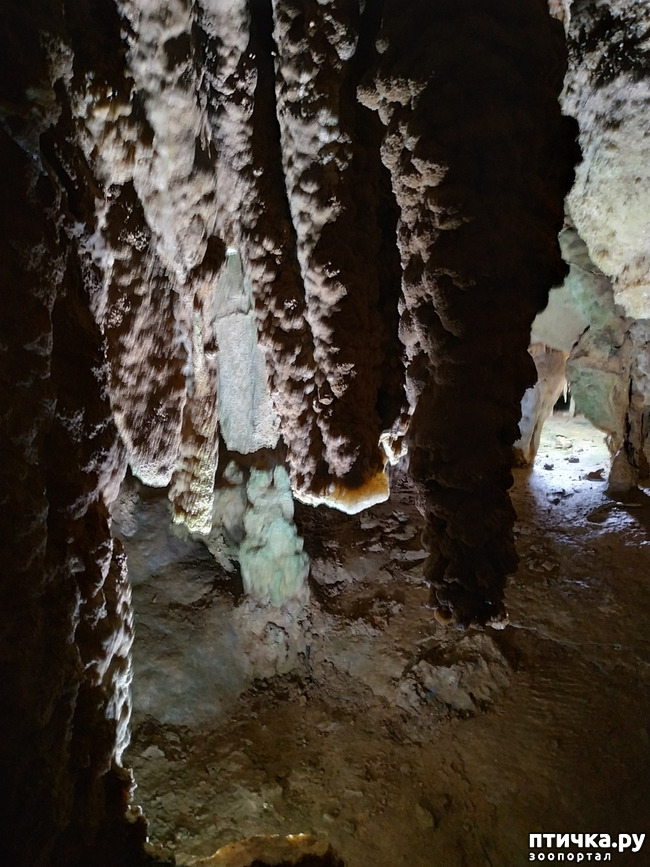фото 41: Пещеры