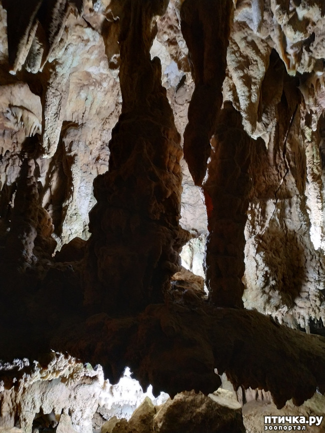 фото 43: Пещеры