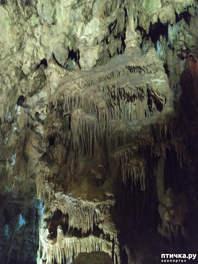 фото 44: Пещеры
