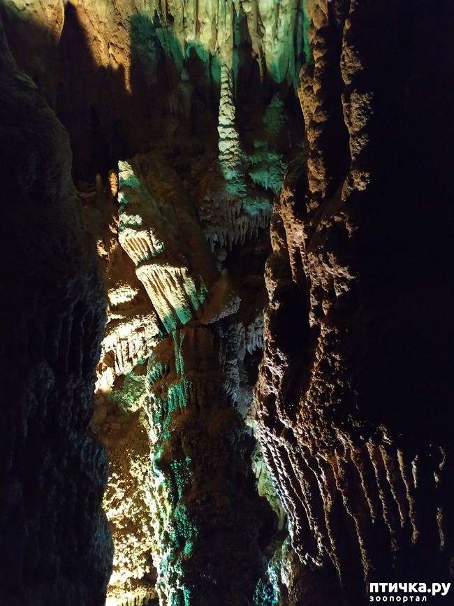фото 51: Пещеры