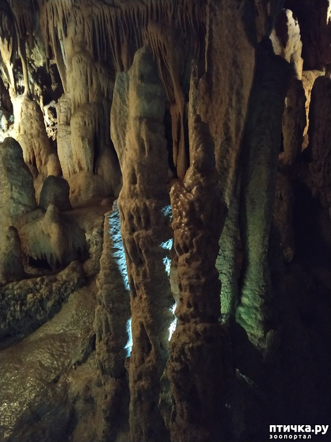 фото 55: Пещеры