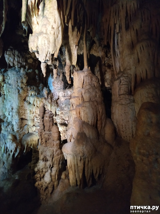 фото 56: Пещеры