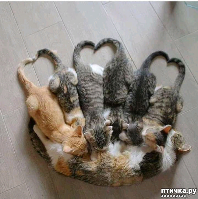  13:     !