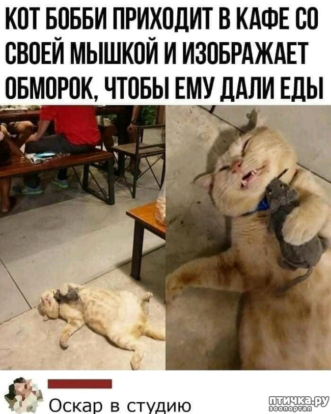  2:     !