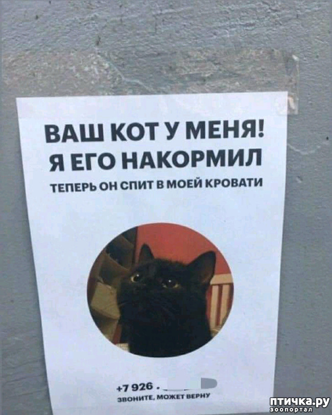  8:     !