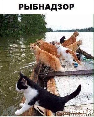 : ,   -  