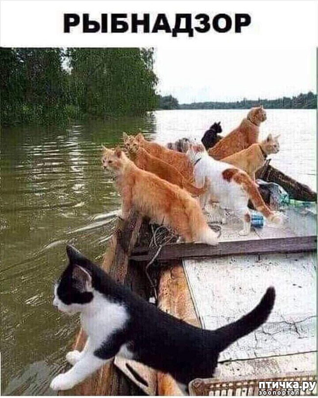  1: ,   -  