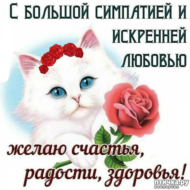  12:   ,   !