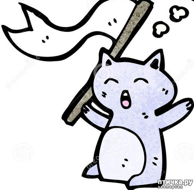 фотография 1: ПУША БОЛЬШЕ НЕ РУЛИТ фото 1: ПУША БОЛЬШЕ НЕ РУЛИТ