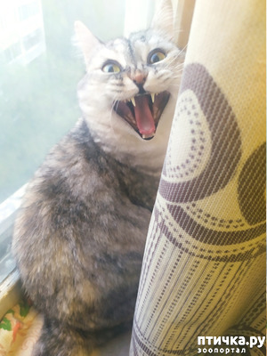 : " ".