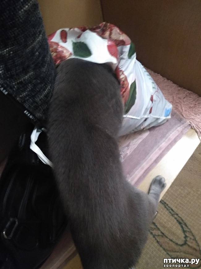  1: )))