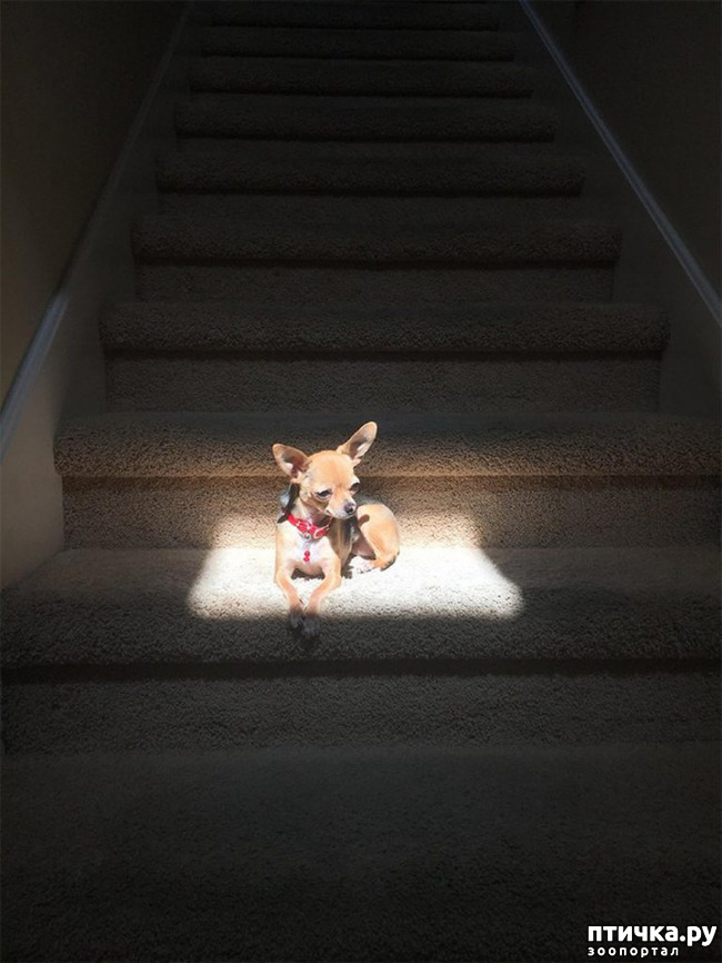  5:  :    