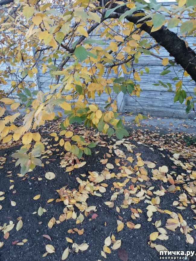  17: .  .