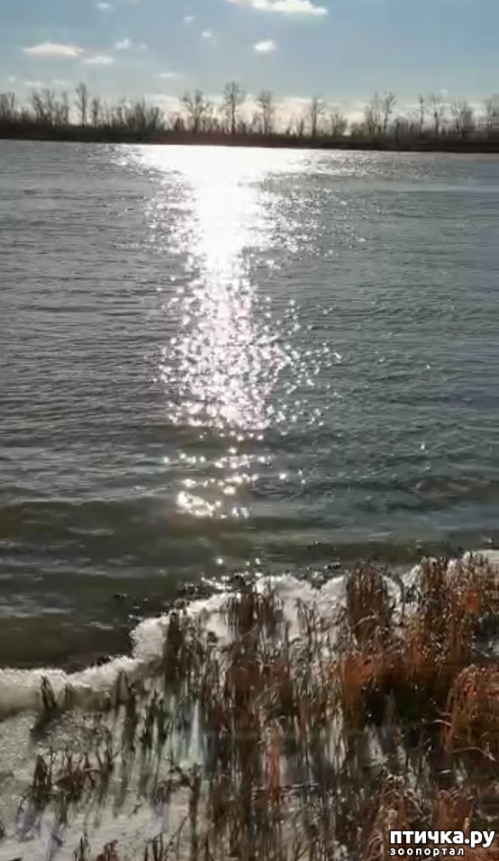  43:   