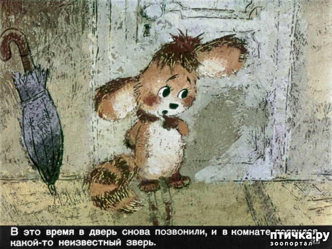  2:  -    