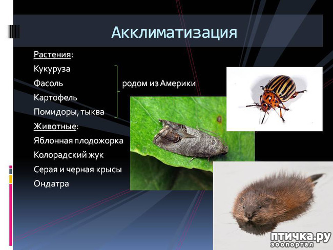  1:           