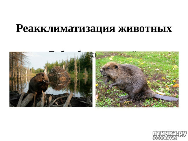  3:           