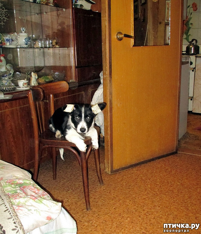  6:   
