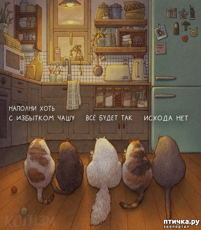 2:      